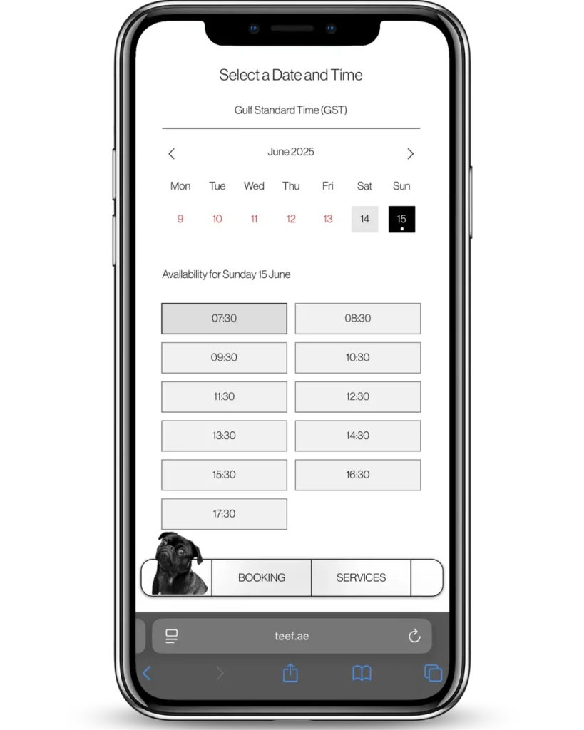 Booking-Page-Dog-sitting-dog-walking-2.webp
